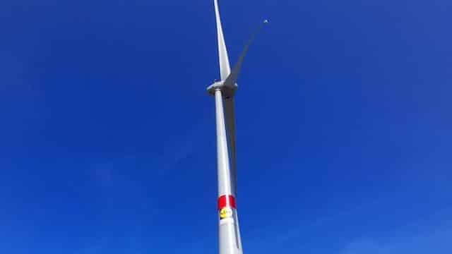 Lidl innove et inaugure bientôt sa toute première éolienne en France?